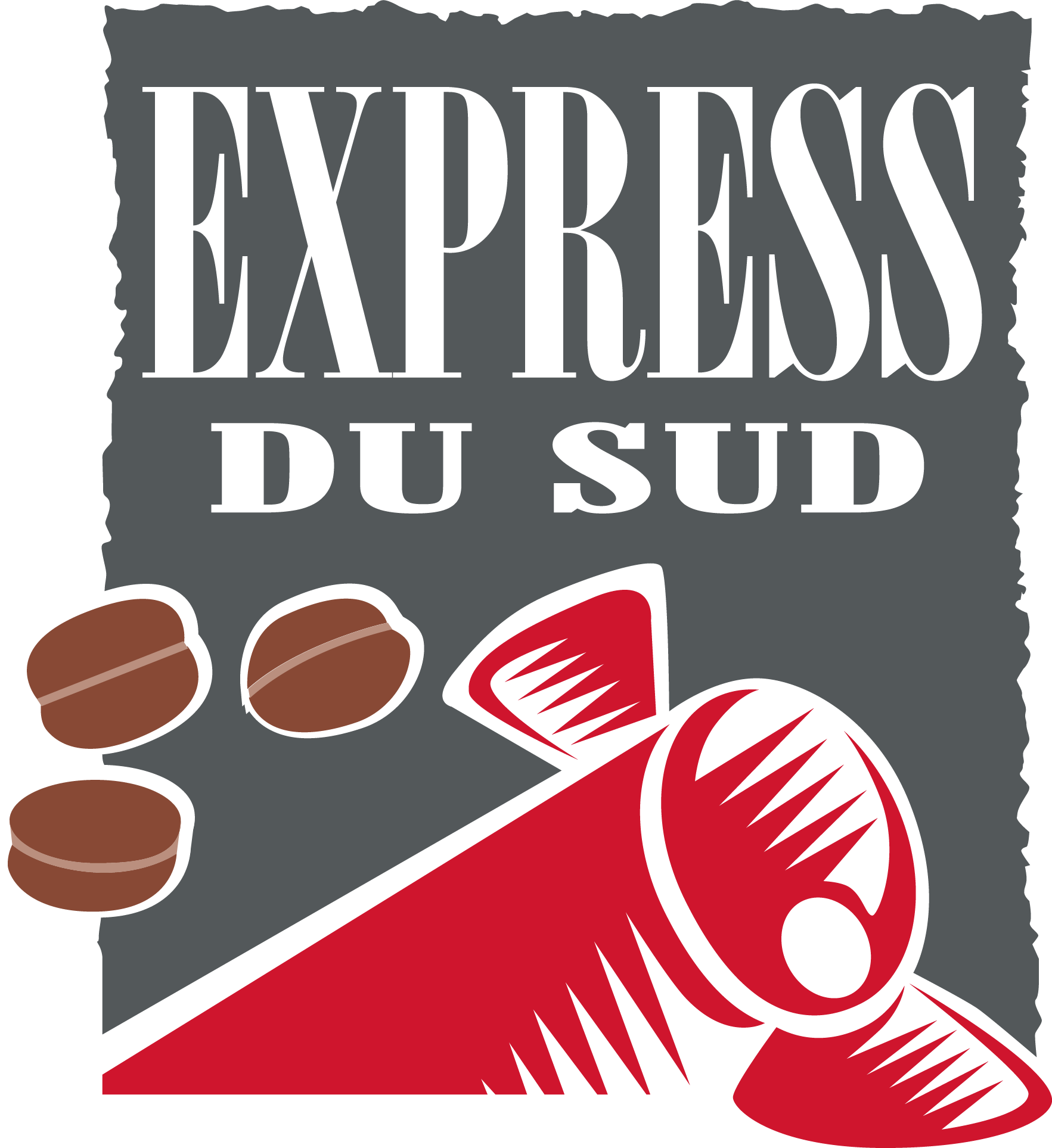 Logo principal de l'express du sud
